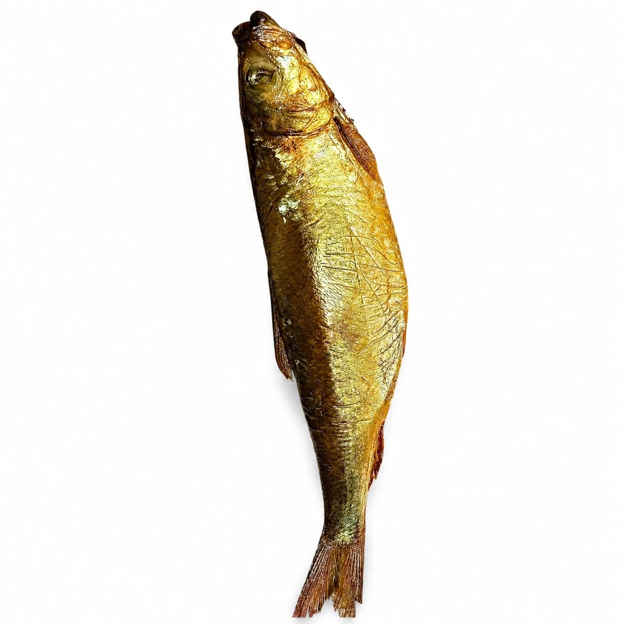 رنجة ممتازة كبيرة